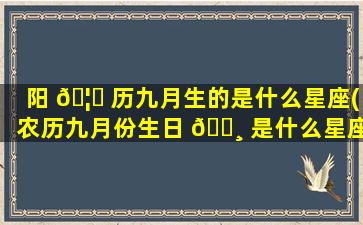 阳 🦉 历九月生的是什么星座(农历九月份生日 🕸 是什么星座)